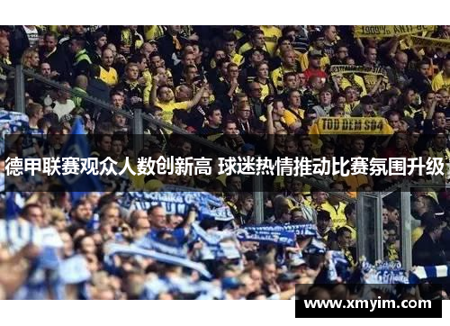 德甲联赛观众人数创新高 球迷热情推动比赛氛围升级
