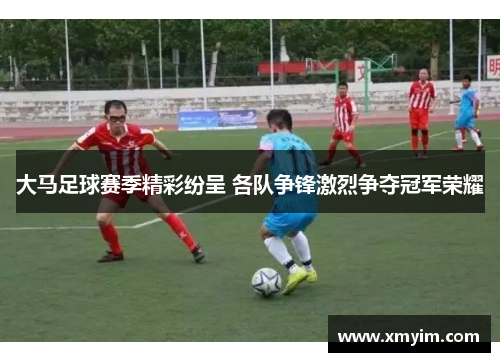 大马足球赛季精彩纷呈 各队争锋激烈争夺冠军荣耀